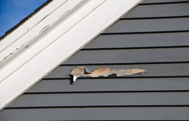 Best Fascia and Soffit Installation  in Soquel, CA